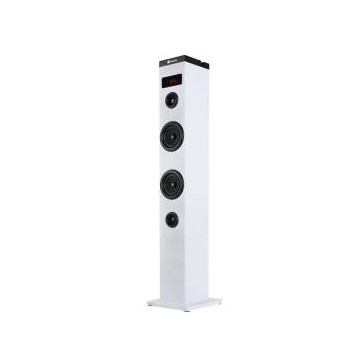 Ngs Speaker A Torre Sky...